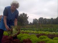 Frau Krause, Foto Kathleen Krause